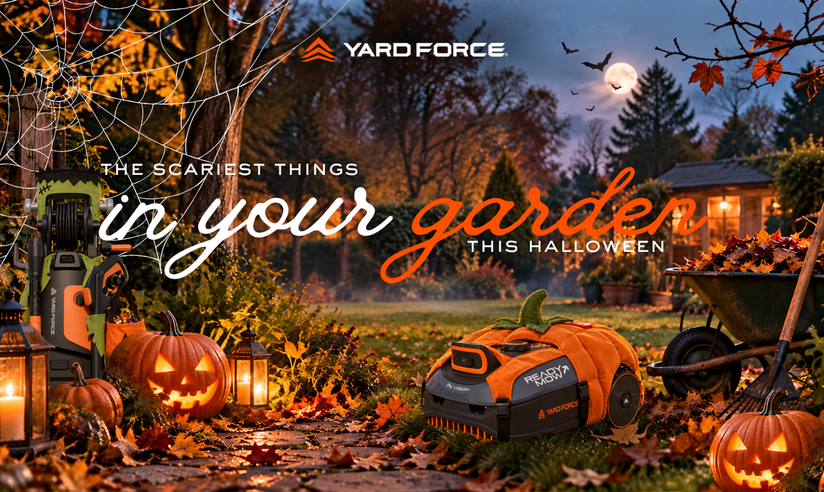The Scariest Things You Can Find in Your Garden This Halloween