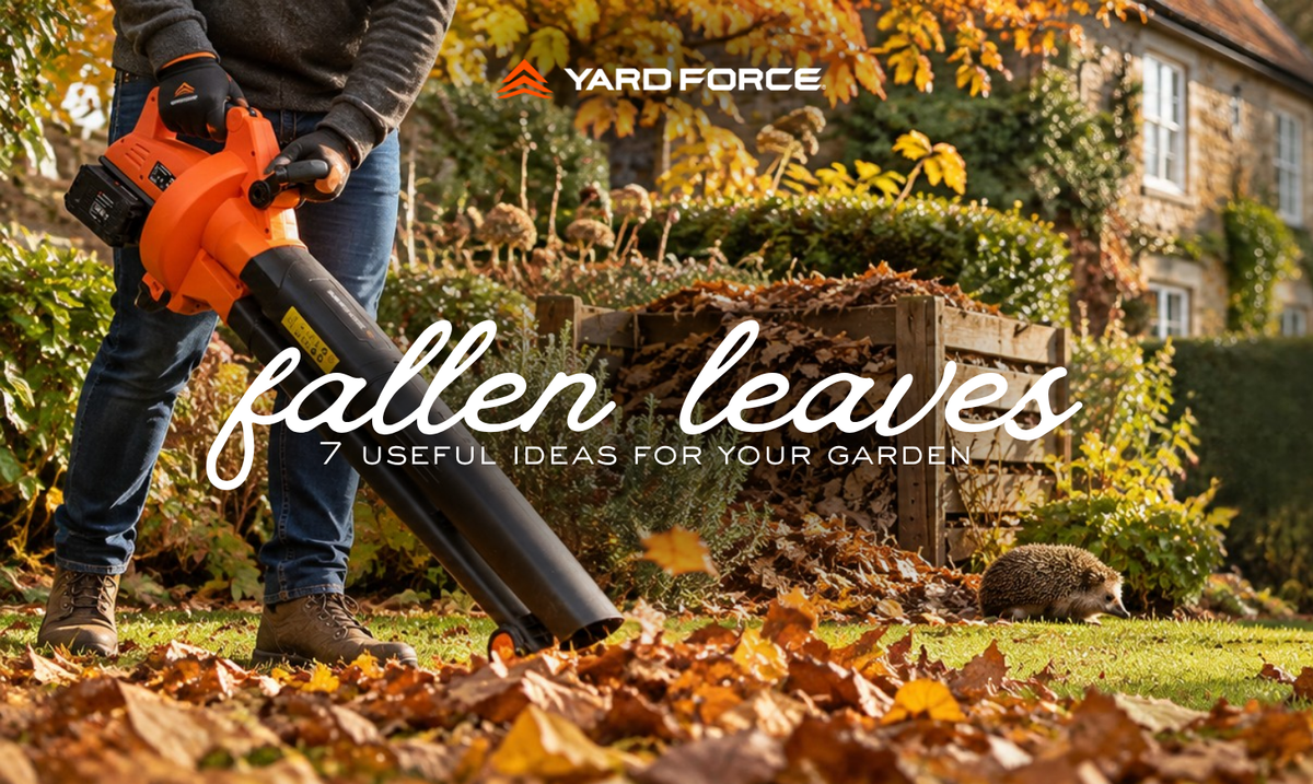 What To Do With Fallen Leaves: 7 Useful Ideas for Your Garden