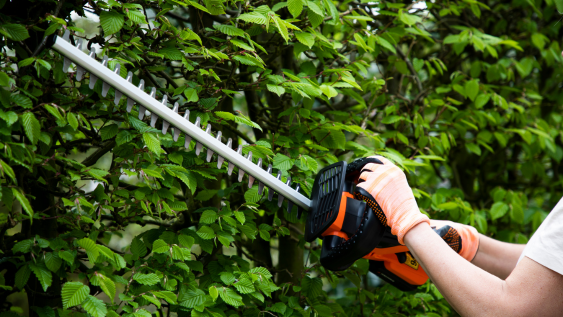 How to Choose the Right Hedge Trimmer (Complete UK Buying Guide)