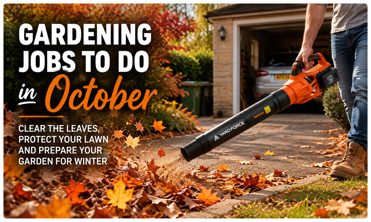 The Yard Force Garden Calendar: Monthly Gardening Jobs - October Edition