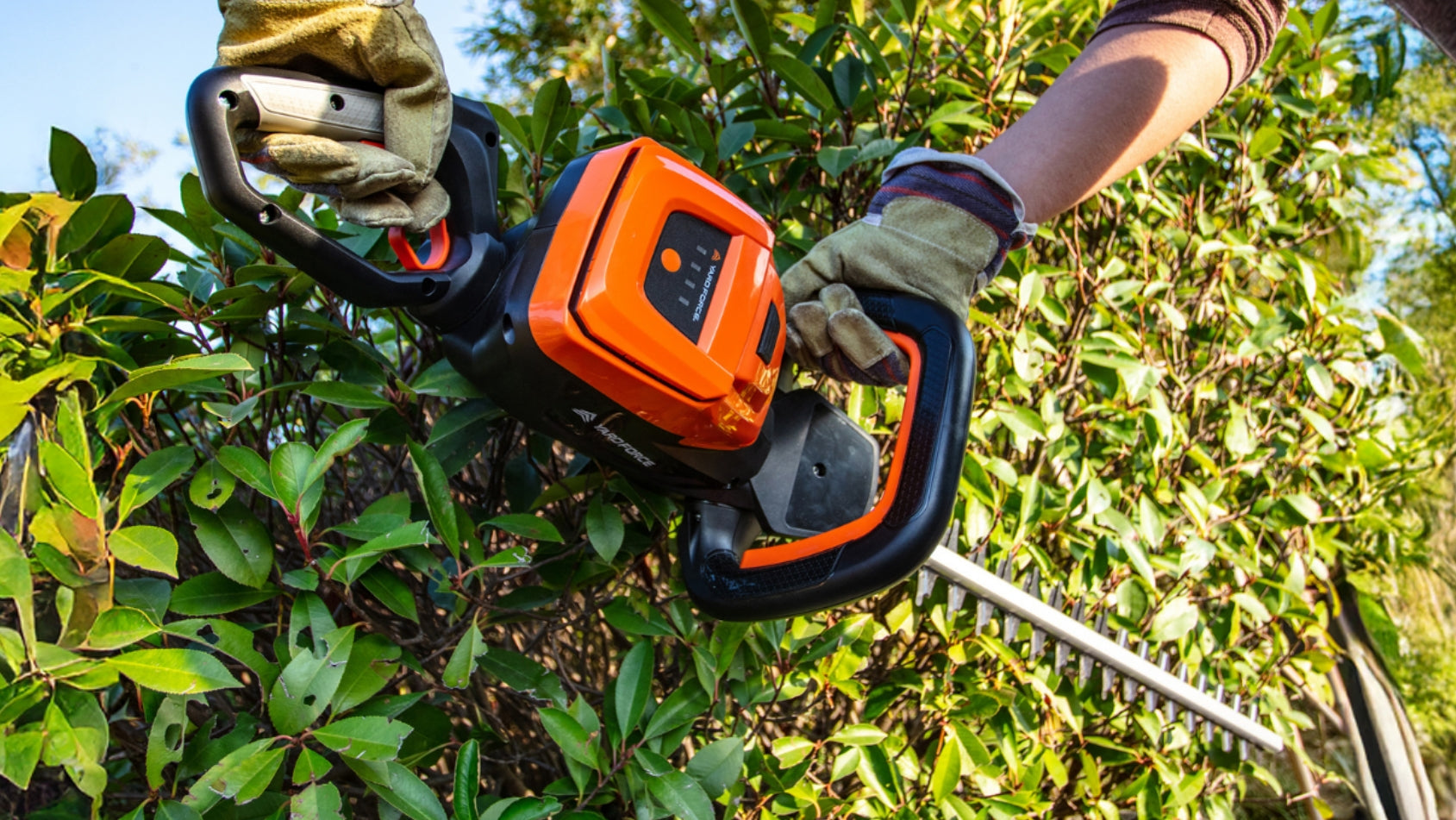 The Yard Force Garden Calendar: Monthly Gardening Jobs - June Edition