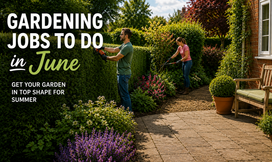 The Yard Force Garden Calendar: Monthly Gardening Jobs - June Edition