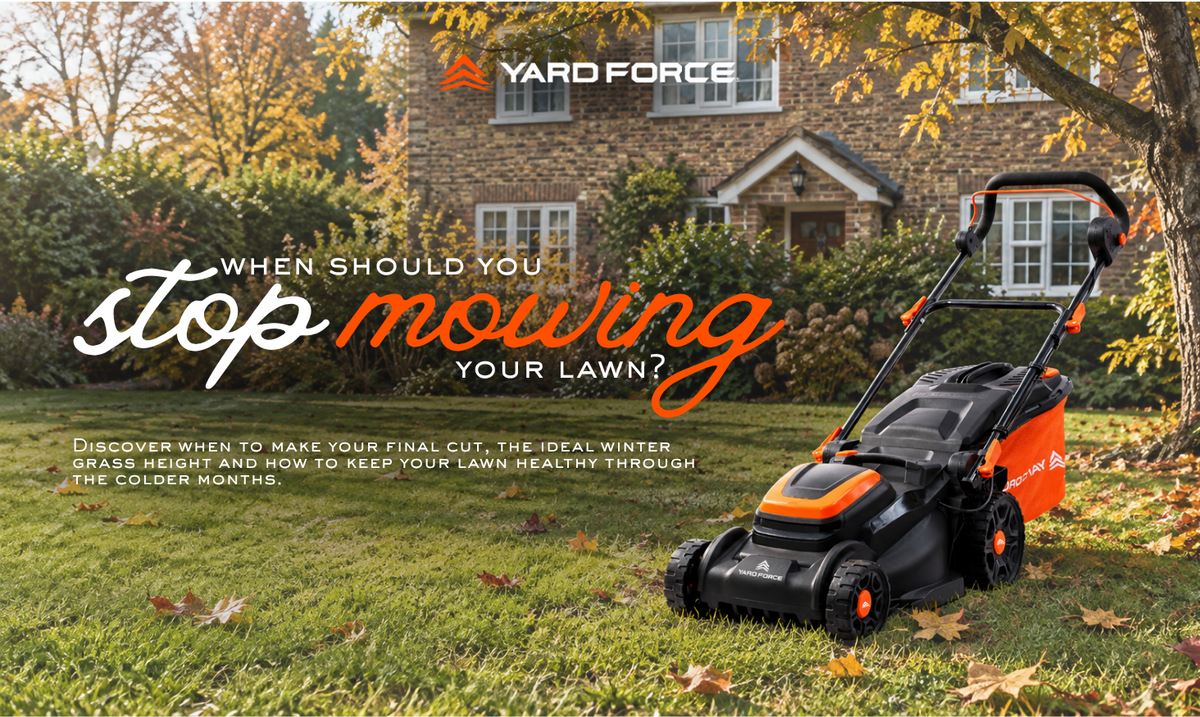 When Should You Stop Mowing Your Lawn in the UK?