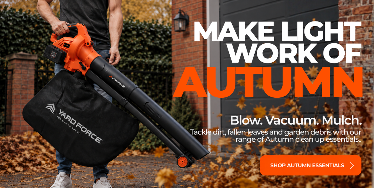 Autumn Essentials