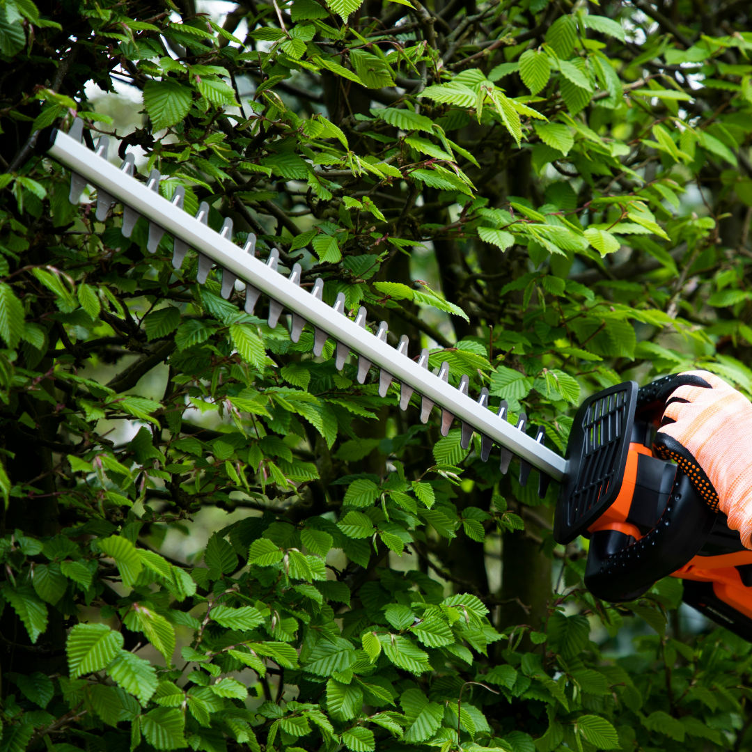 20V Cordless Hedge Trimmer