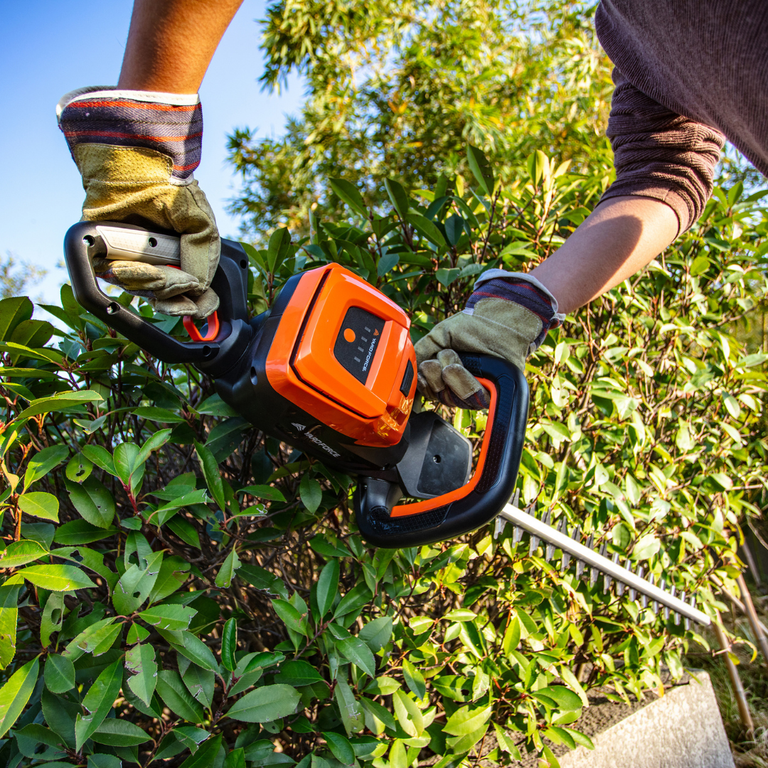 40V Cordless Hedge Trimmer- BODY ONLY