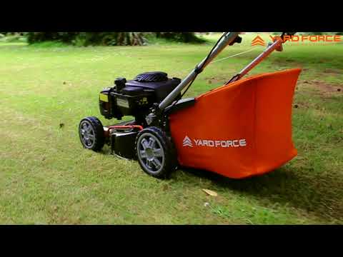 125cc 41cm SP Petrol B&S Engine