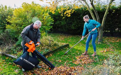 Autumn garden tidy-up tools